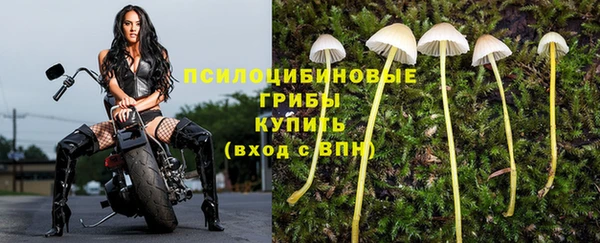 прущий лед Абинск