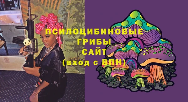 гашик Абаза