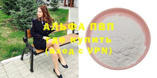 стафф Алексин