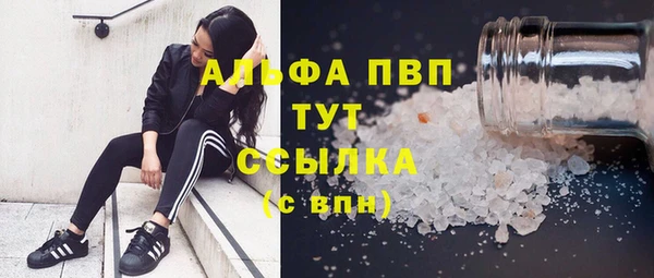 гашик Абаза