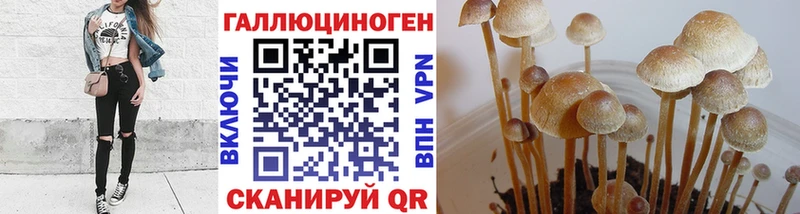 Галлюциногенные грибы GOLDEN TEACHER  Харабали 